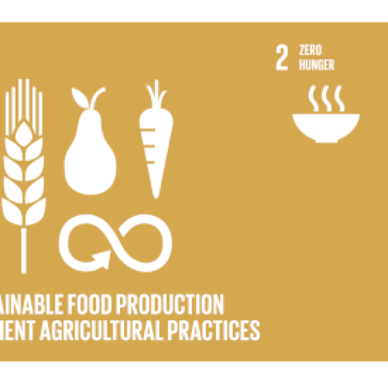 Target 2.4: Sustainable food production and resilient agricultural practices