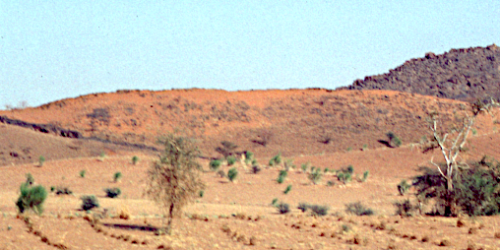 A hot dry landscape in Western Sudan
